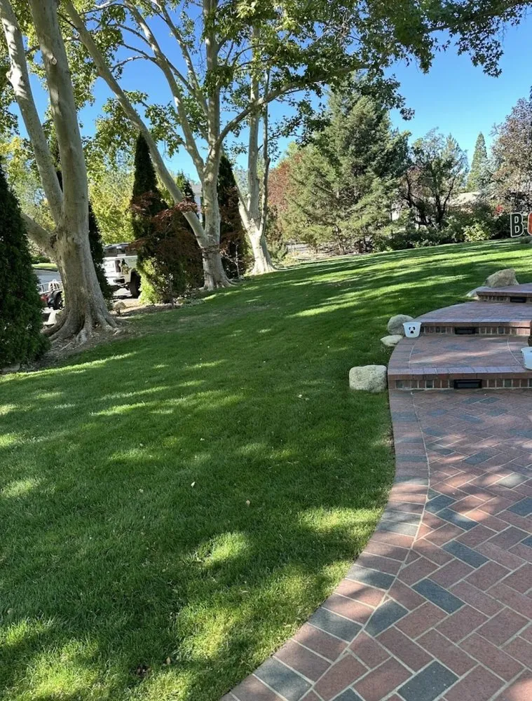 Affordable yard cleanup service experts serving Reno, NV - Precision Lawn Care