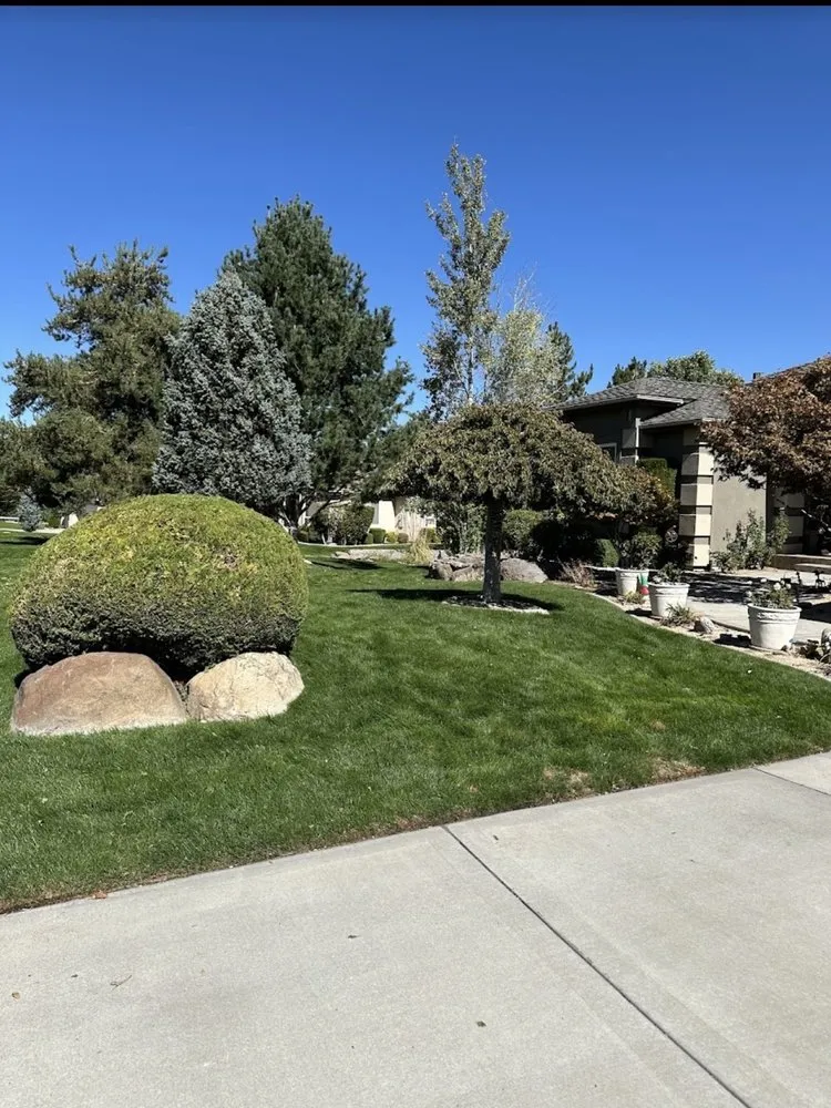 Custom outdoor landscaping for year-round maintenance in Reno, NV by Precision Lawn Care