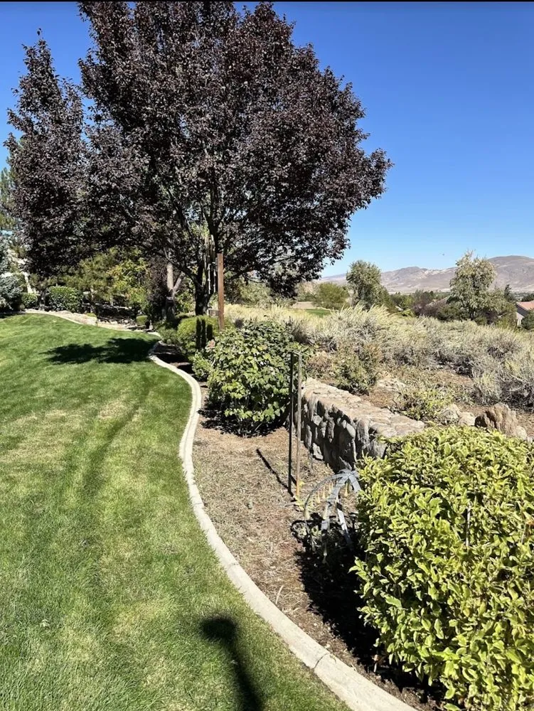 Local outdoor landscaping in Reno, NV - Precision Lawn Care