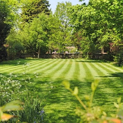 Expert lawn care service in Salisbury, MD by Precision Lawn Care Service