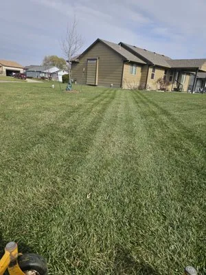 Precision lawn Care Logo