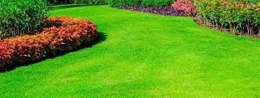 Professional yard maintenance for year-round maintenance in Athens, GA by Precision Lawn Maintenance