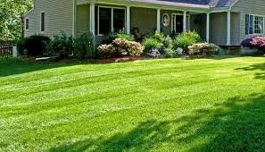 Affordable landscaping services experts serving Athens, GA - Precision Lawn Maintenance