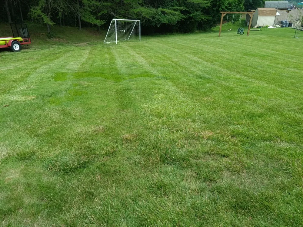 Custom lawn care service experts serving Louisville, KY - Precision Lawn Maintenance