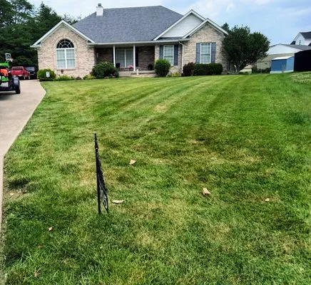 Precision Lawn Maintenance Logo