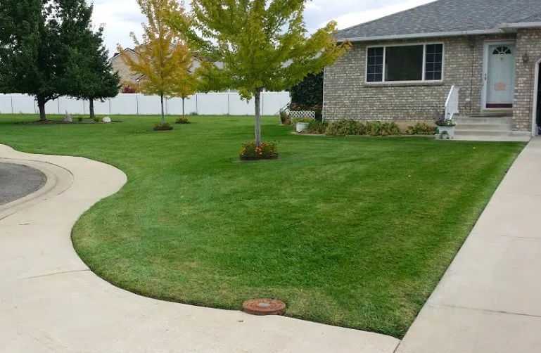 Top-rated yard maintenance in Sugar Land, TX - Precision Lawn Mowing Sugar Land