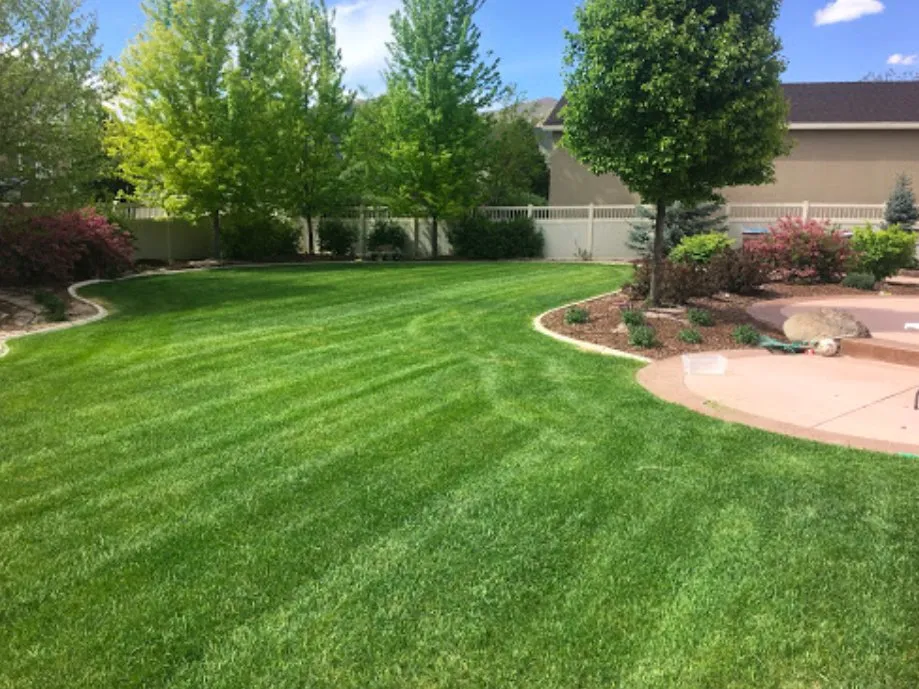 Expert lawn mowing service in Sugar Land, TX by Precision Lawn Mowing Sugar Land