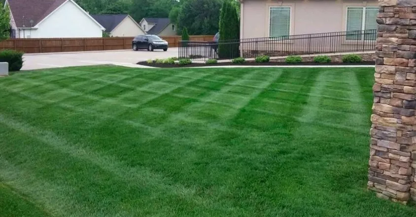 Custom yard cleanup service in Sugar Land, TX - Precision Lawn Mowing Sugar Land