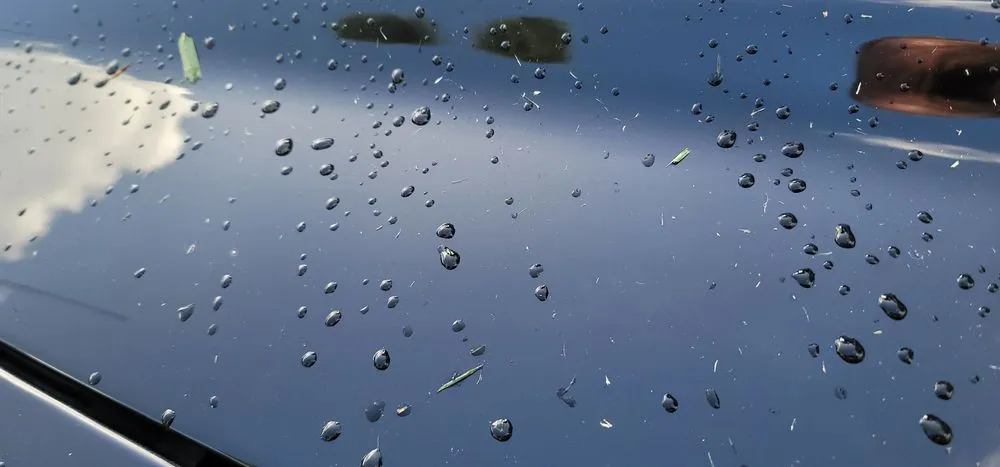 Reliable landscape installation in Fort Lauderdale, FL by Precision lawn service