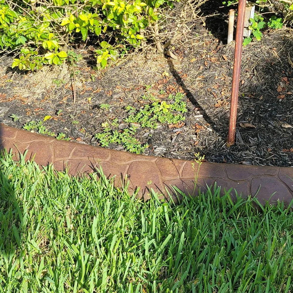 Affordable residential landscaping in Fort Lauderdale, FL by Precision lawn service