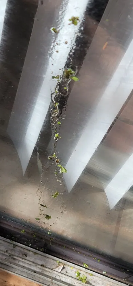 Professional residential landscaping in Fort Lauderdale, FL by Precision lawn service