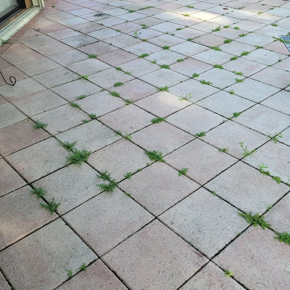 Trusted lawn mowing service for residential properties across Fort Lauderdale, FL - Precision lawn service