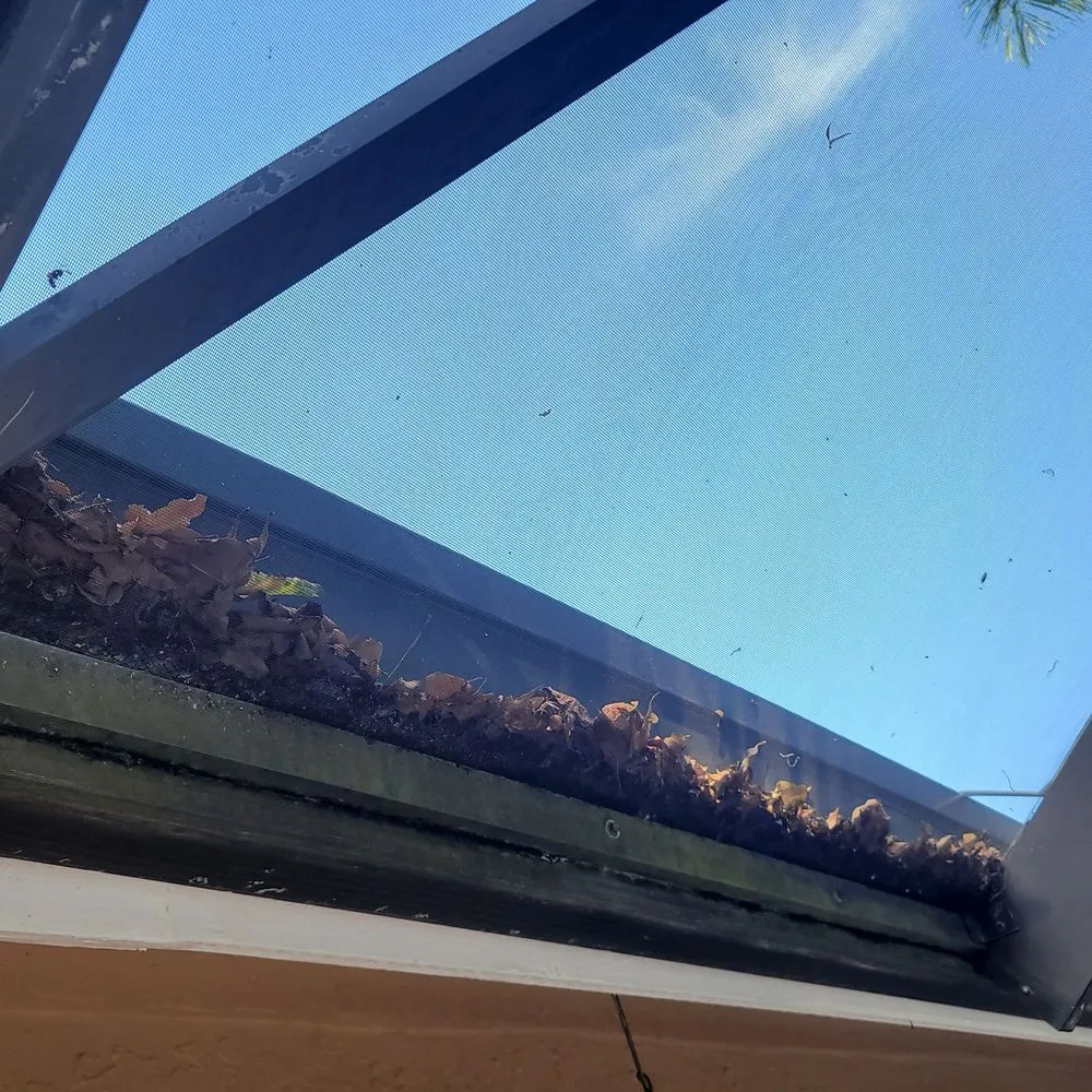 Reliable residential landscaping for beautiful yards across Fort Lauderdale, FL - Precision lawn service