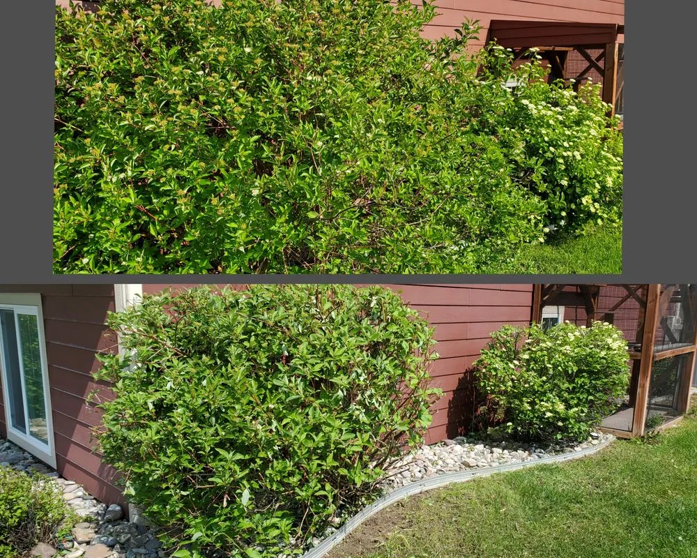 Affordable residential landscaping experts serving Butte, MT - Precision Lawn Services