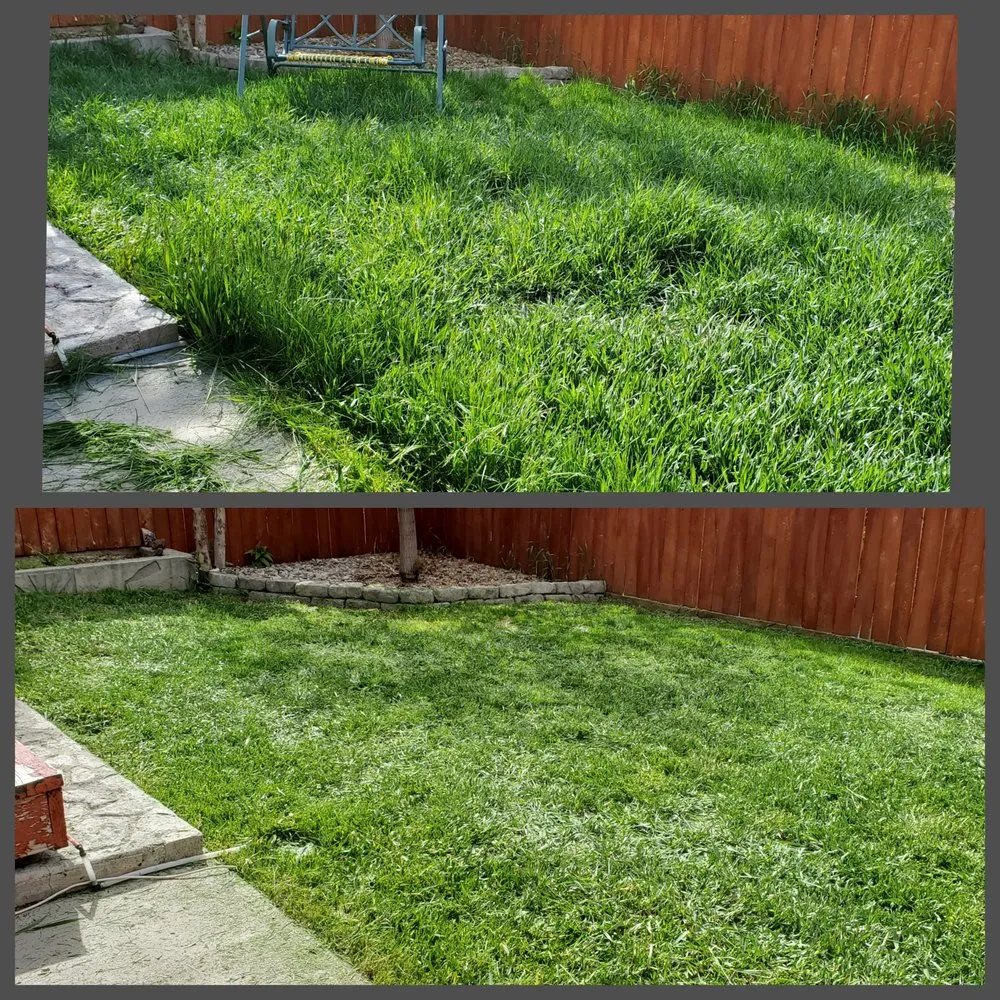Reliable landscaping services in Butte, MT by Precision Lawn Services