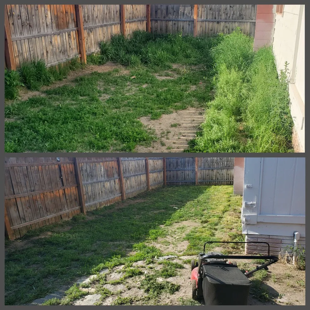 Reliable yard cleanup service for homes across Butte, MT - Precision Lawn Services