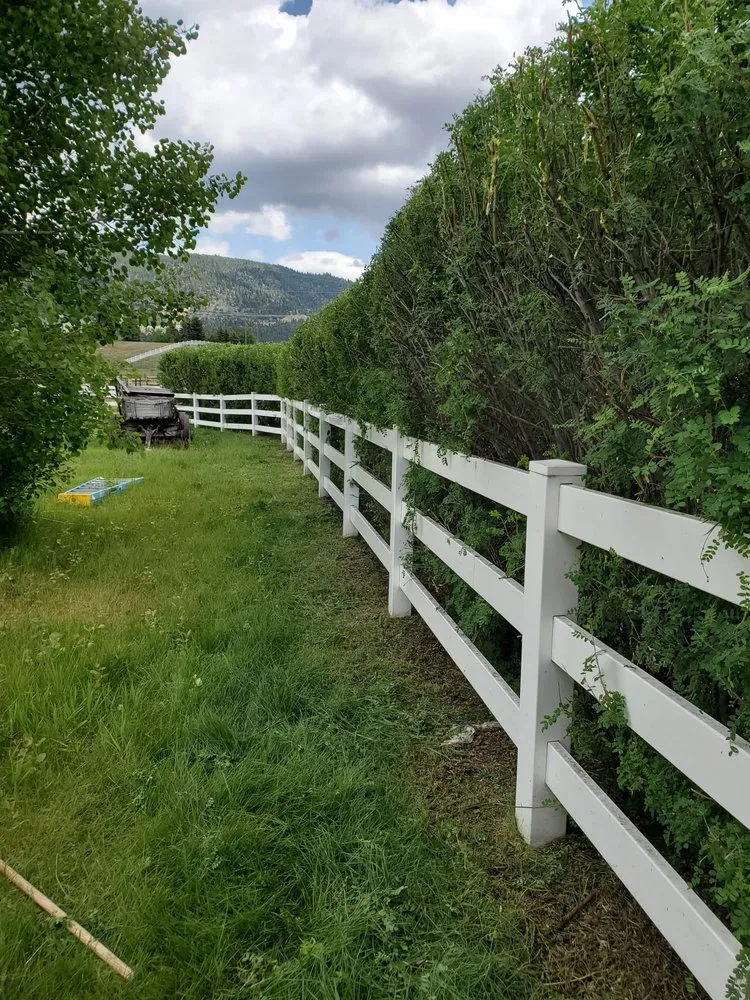 Trusted yard maintenance in Butte, MT - Precision Lawn Services