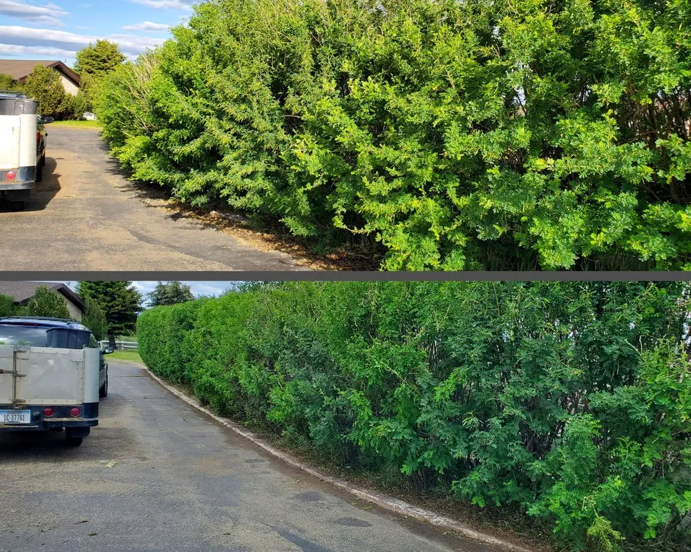 Top-rated yard cleanup service experts serving Butte, MT - Precision Lawn Services