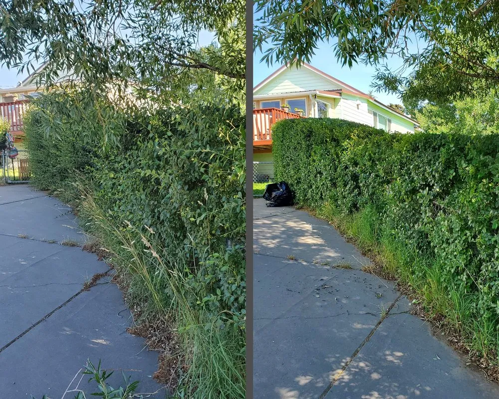 Custom landscape design for beautiful yards across Butte, MT - Precision Lawn Services