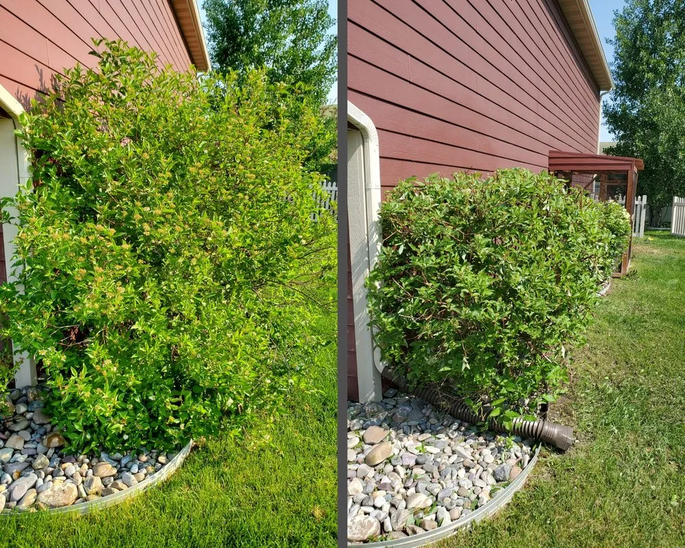 Expert yard cleanup service near you across Butte, MT - Precision Lawn Services