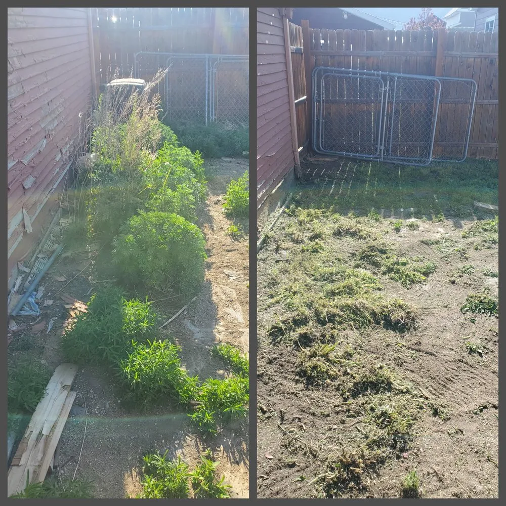 Affordable landscape design in Butte, MT - Precision Lawn Services