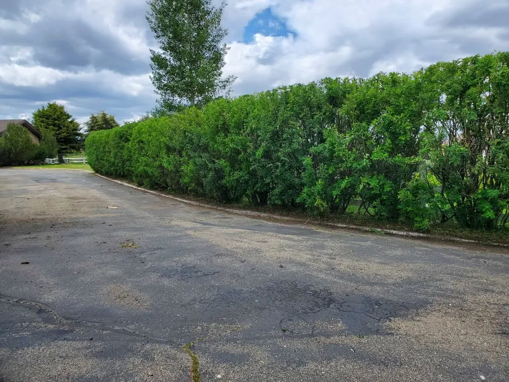 Trusted landscape installation with custom design across Butte, MT - Precision Lawn Services