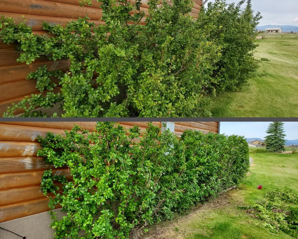 Top-rated garden landscaping in Butte, MT - Precision Lawn Services