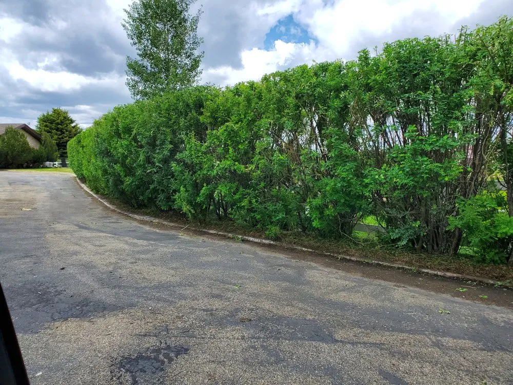 Top-rated landscape installation for outdoor upgrades across Butte, MT - Precision Lawn Services