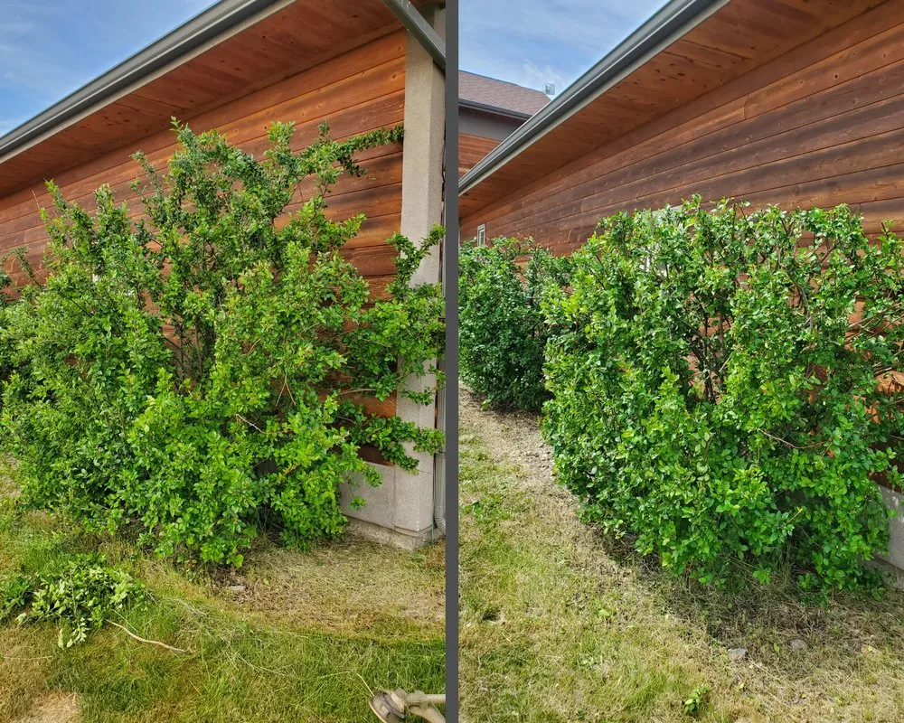 Trusted yard maintenance for homes in Butte, MT by Precision Lawn Services