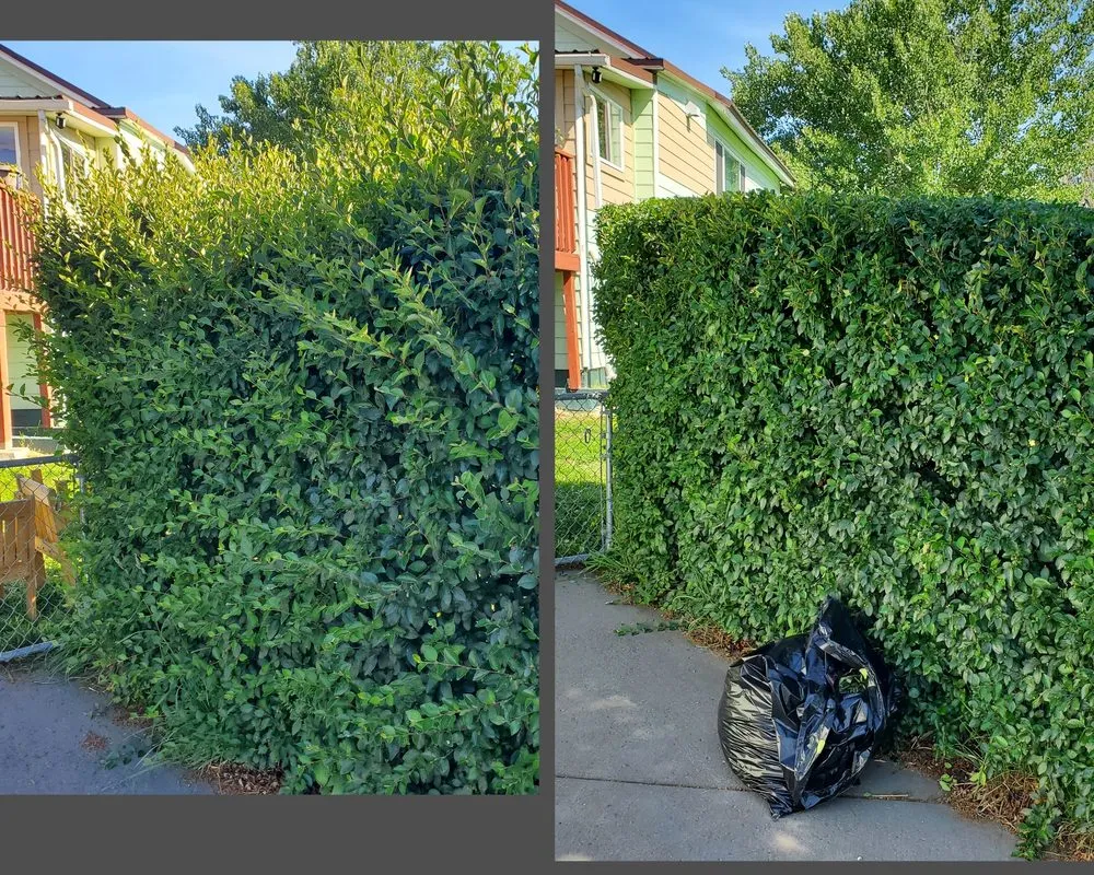Reliable yard cleanup service near you across Butte, MT - Precision Lawn Services