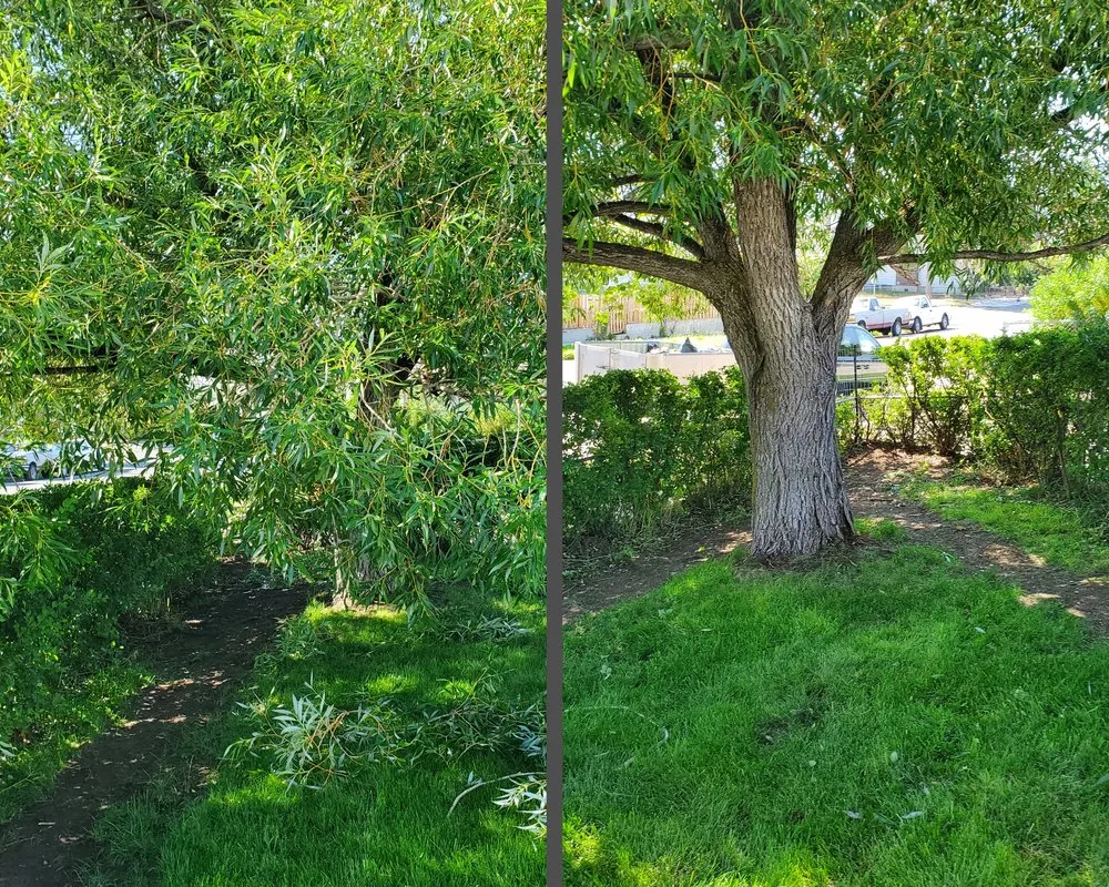 Professional lawn care service for beautiful yards across Butte, MT - Precision Lawn Services