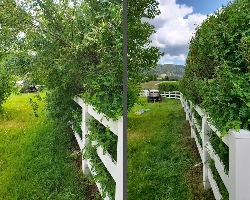 Trusted lawn care service for residential properties across Butte, MT - Precision Lawn Services