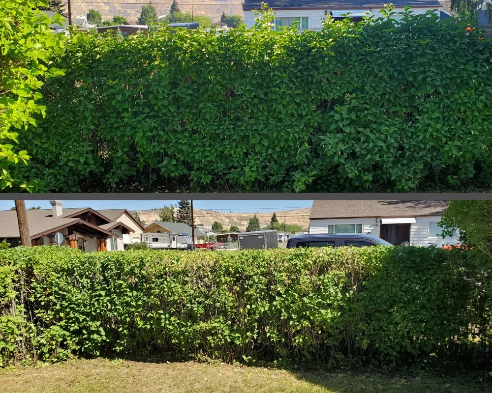 Affordable landscape installation with custom design in Butte, MT by Precision Lawn Services