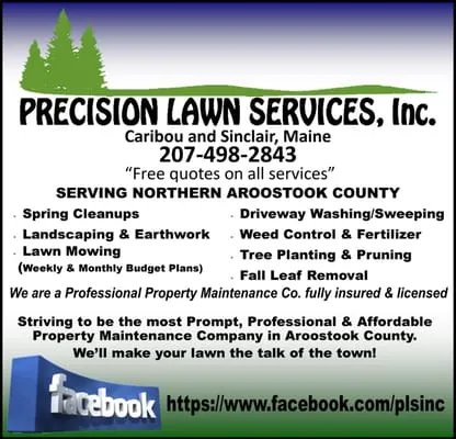 Precision Lawn Services