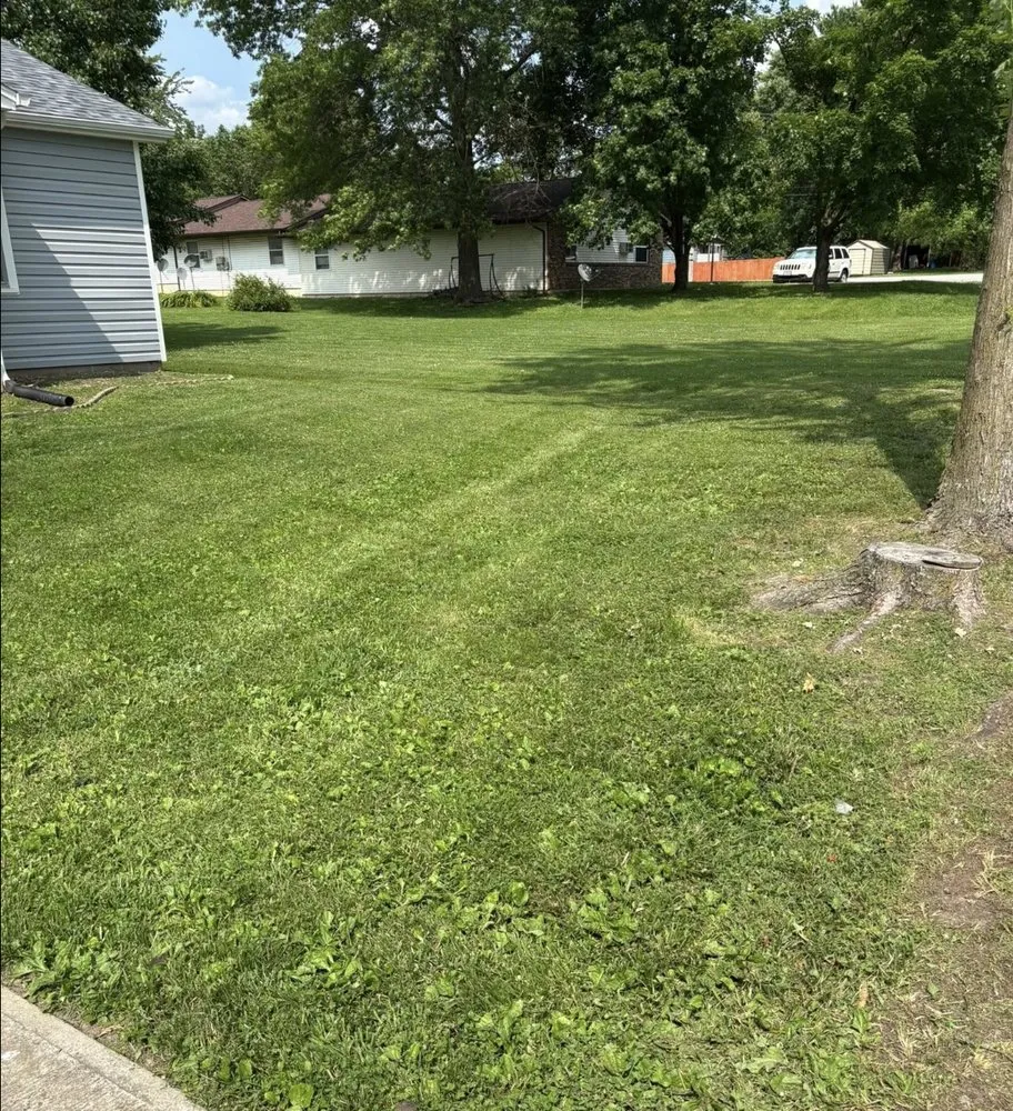 Expert yard cleanup service in Tipton, MO by Precision Lawn Services