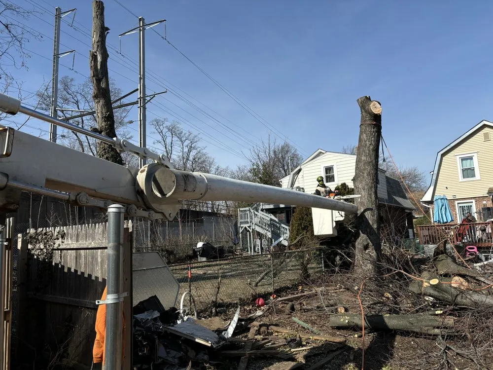 Expert landscape design in Newburgh, NY - Precision Lawncare & Landscaping