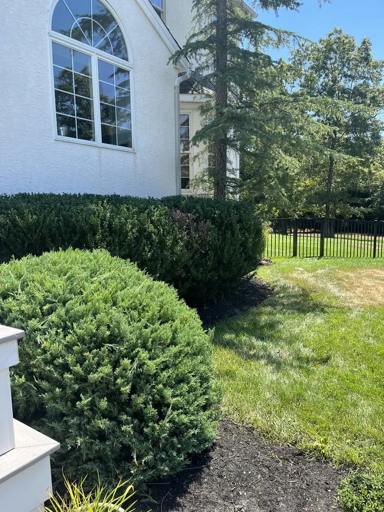 Reliable yard maintenance in Pleasantville, NJ by Precision Lawncare