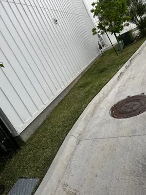 Precision Lawncare Logo