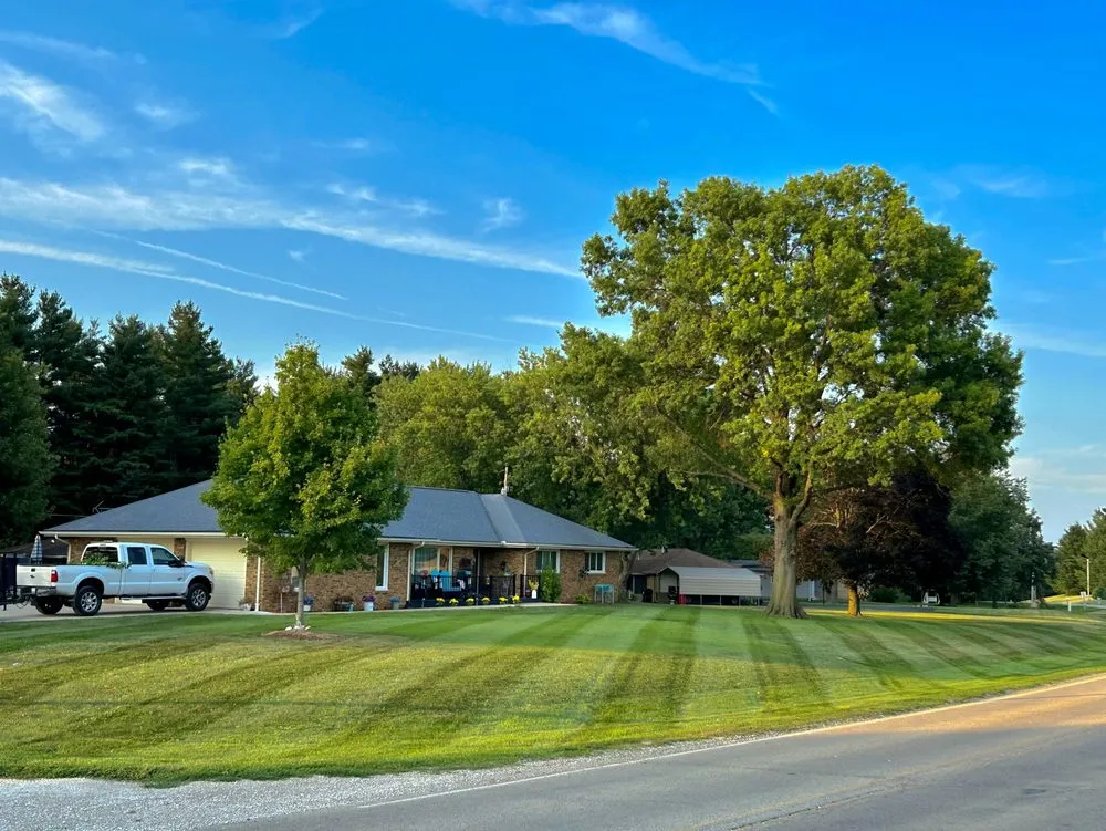 Trusted yard cleanup service in Canton, IL by Precision Lawns