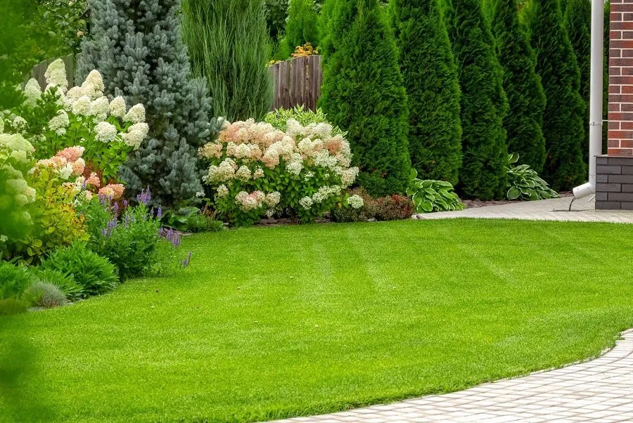 Professional residential landscaping in Dayton, TX by Precision Lawns