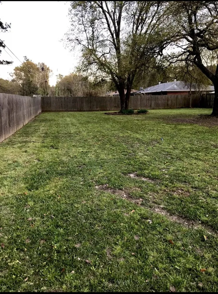 Local landscape installation for outdoor upgrades in West Monroe, LA by Precision Mowing & Maintenance Services