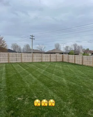 Precision Mowing and Cleansing Logo