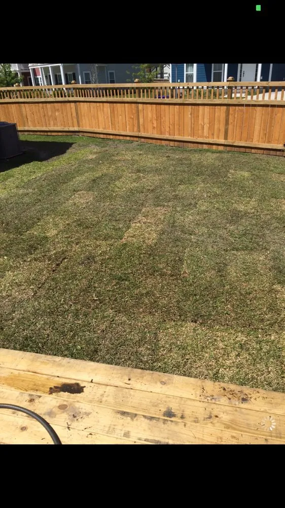 Expert lawn care service with custom design across Charleston, SC - Precision one