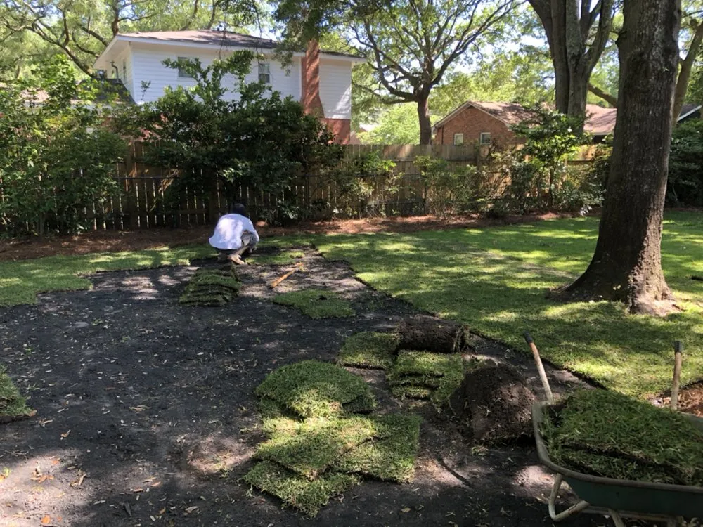 Expert yard maintenance in Charleston, SC - Precision one