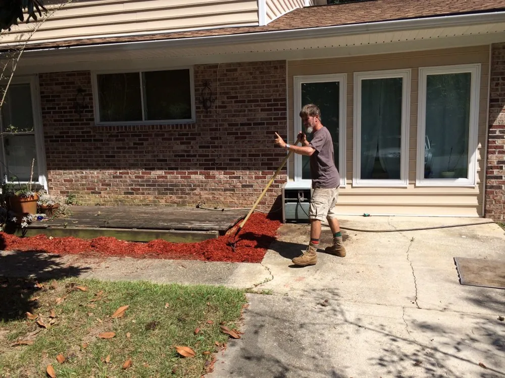 Top-rated landscaping services in Charleston, SC by Precision one