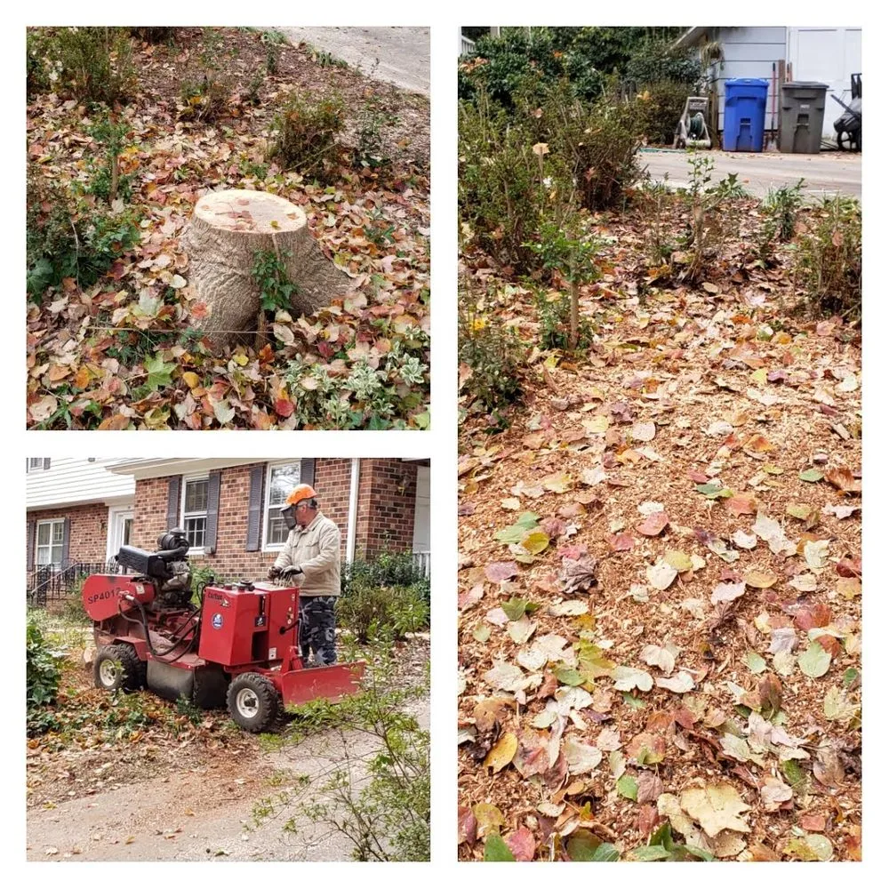 Reliable garden landscaping for outdoor upgrades in Greenville, SC by Precision Outdoor