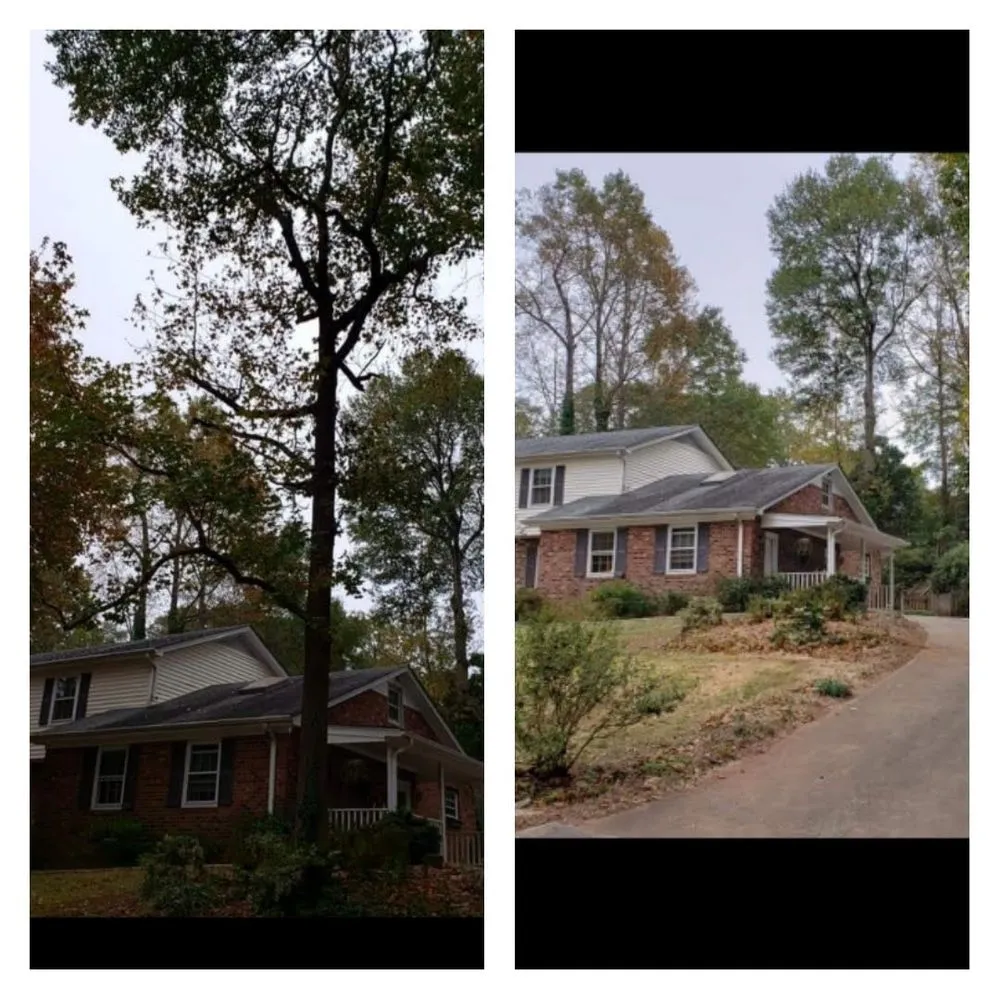 Expert landscaping services in Greenville, SC - Precision Outdoor