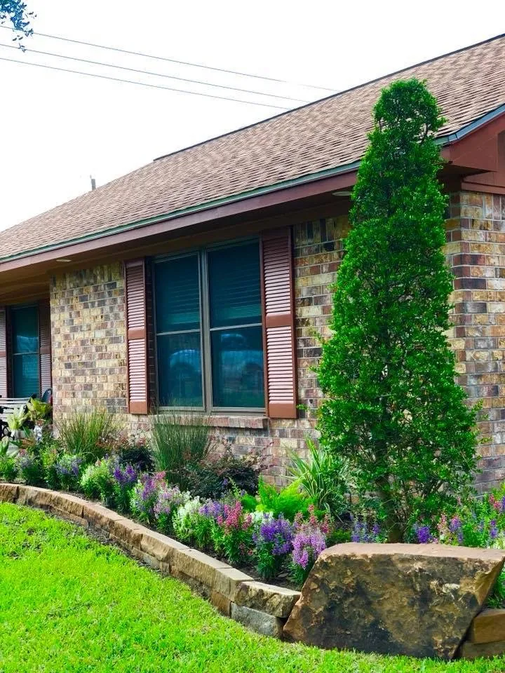 Professional yard maintenance in Houston, TX by Precision Outdoor