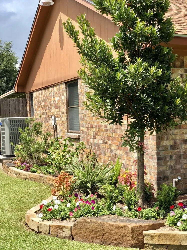 Reliable lawn care service for homes across Houston, TX - Precision Outdoor