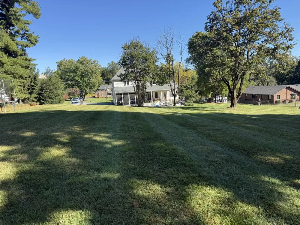 Trusted yard cleanup service experts serving Abingdon, MD - Precision Outdoor Lawn Care & Landscaping